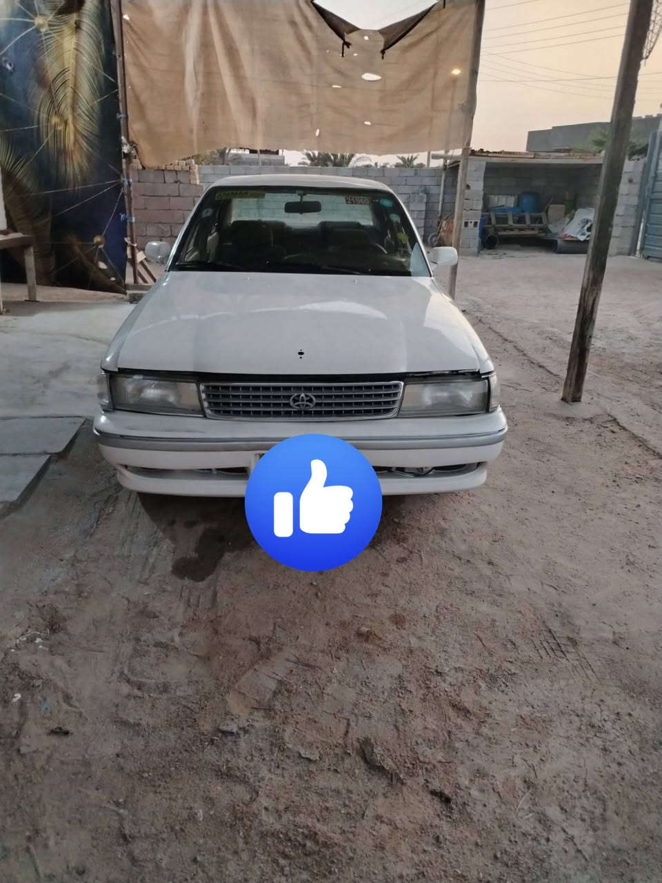 السلام عليكم كروسيده للبيع موديل 91مكفوله من كص ونقل جثه سنويه منتهيه صارله 10 اشهر بدون تبريد راعيه موجود بل بصره رقم نجف حداديه زينه كيرها ومكينه ونجي السعر 40وبيه مجال العنوان البصره الهارثه رقم الهاتف ***********واتساب ***********
