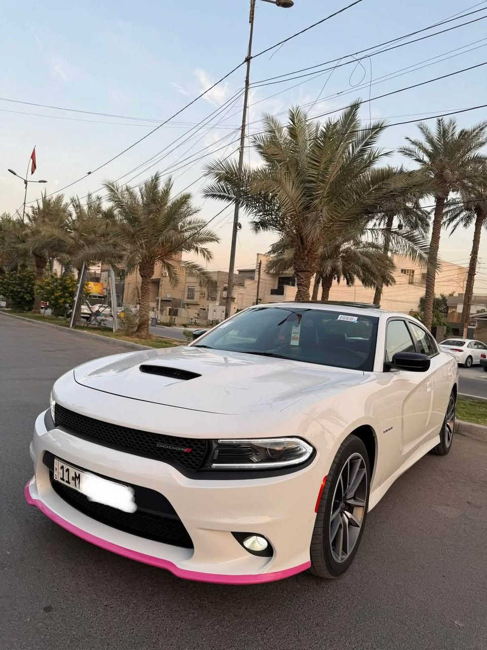 للبيع دودج تشارجر R/T Max موديل 2022 HEMI 5.7L V8 محرك
ممشى 14,300 ميل فقط
لون أبيض
داخلية جلد أسود مع أحمر (كشنات حضن)
رقم بغداد
خليجي شركة هارلم
كفالة عامة
المواصفات:
نسخة RT Max فول مواصفات
فتحة سقف
٧ تشغيل بصمة ودخول ذكي
٧ ريموت ستارت
٧ المقاعد الامامية كهربائية
٧ تبريد وتدفئة للمقاعد الأمامية
٧ تدفئة للمقاعد الخلفية
تدفئة للمقود
٧ شاشة Uconnect كبيرة
كاميرا خلفية
٧ حساسات خلفية
٧ مراقبة النقطة العمياء
Alpine نظام صوت
٧ رنكات وكالة أصلية RT
داخلية جلد فاخرة أسود وأحمر
كزوزست دبات سود SRT (بلادي من الشركة) بصوت رياضي مميز السيارة خليجية من شركة هارلم.
‹ مكفولة من الحادث والصبغ والشخوط.
ممشى قليل جدا وحالتها ممتازة.
المواصفات وول ما عدا الرادار الأمامي.
السيارة نظيفة جدا، وجاهزة لأي فحص.
للاستفسار مراسلة الخاص أو الاتصال 
***********
***********

