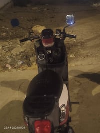 بوليس • مراوس • سكنس جبلي