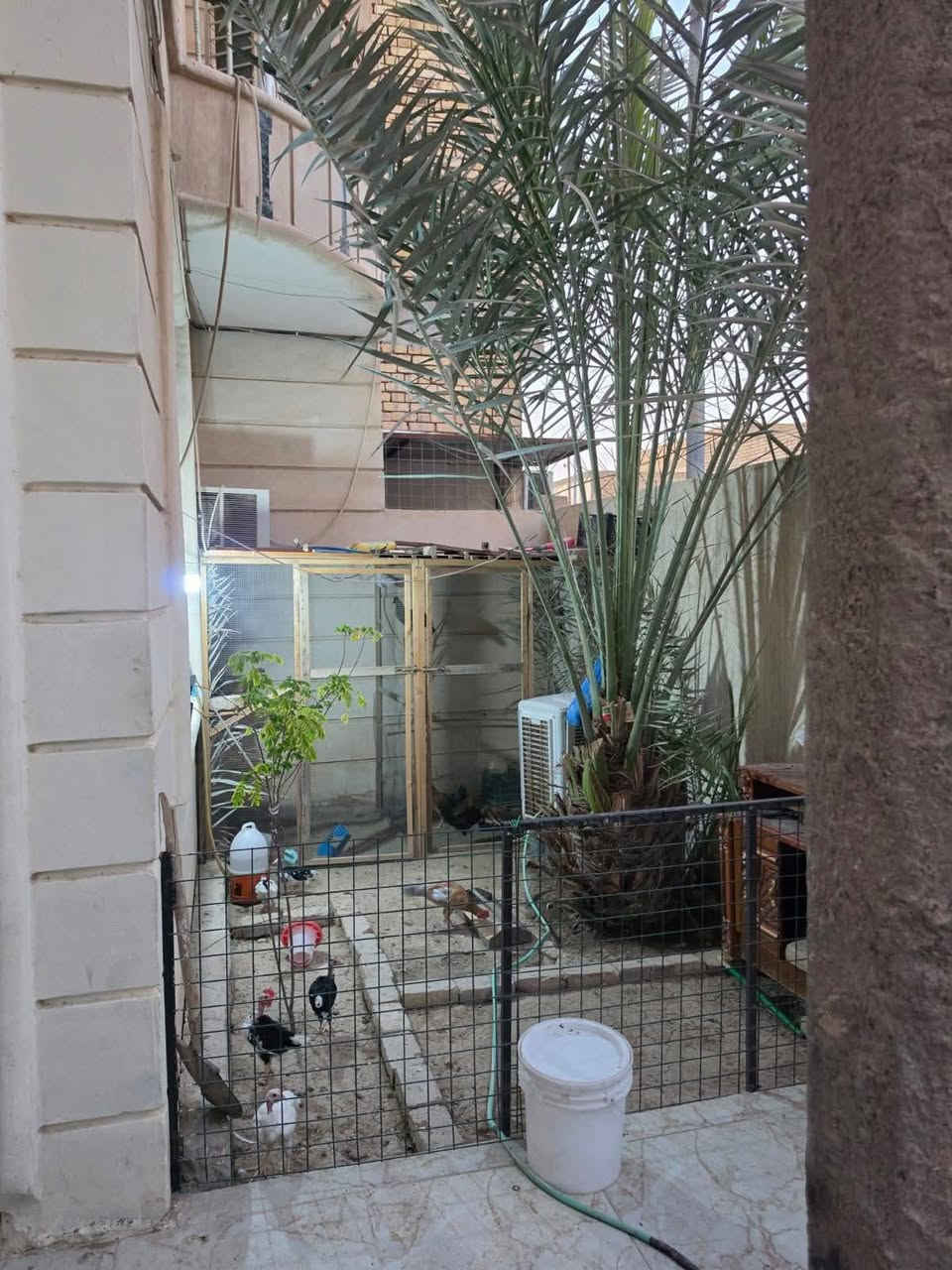 🏡 معروض لدينادار للبيع – موقع مميز في الناصريه
📍 الموقع: حي اور ثانيه على شارع 10
📐 المساحة: 200م² السعر ٢٦٠
📜 الطابو: صرف
🏠 البناء: طابقين
🛏️ عدد الغرف: 5 غرف
🛋️ عدد الصالات: صاله
🚿 الصحيات: 2
📞 للتواصل ***********

