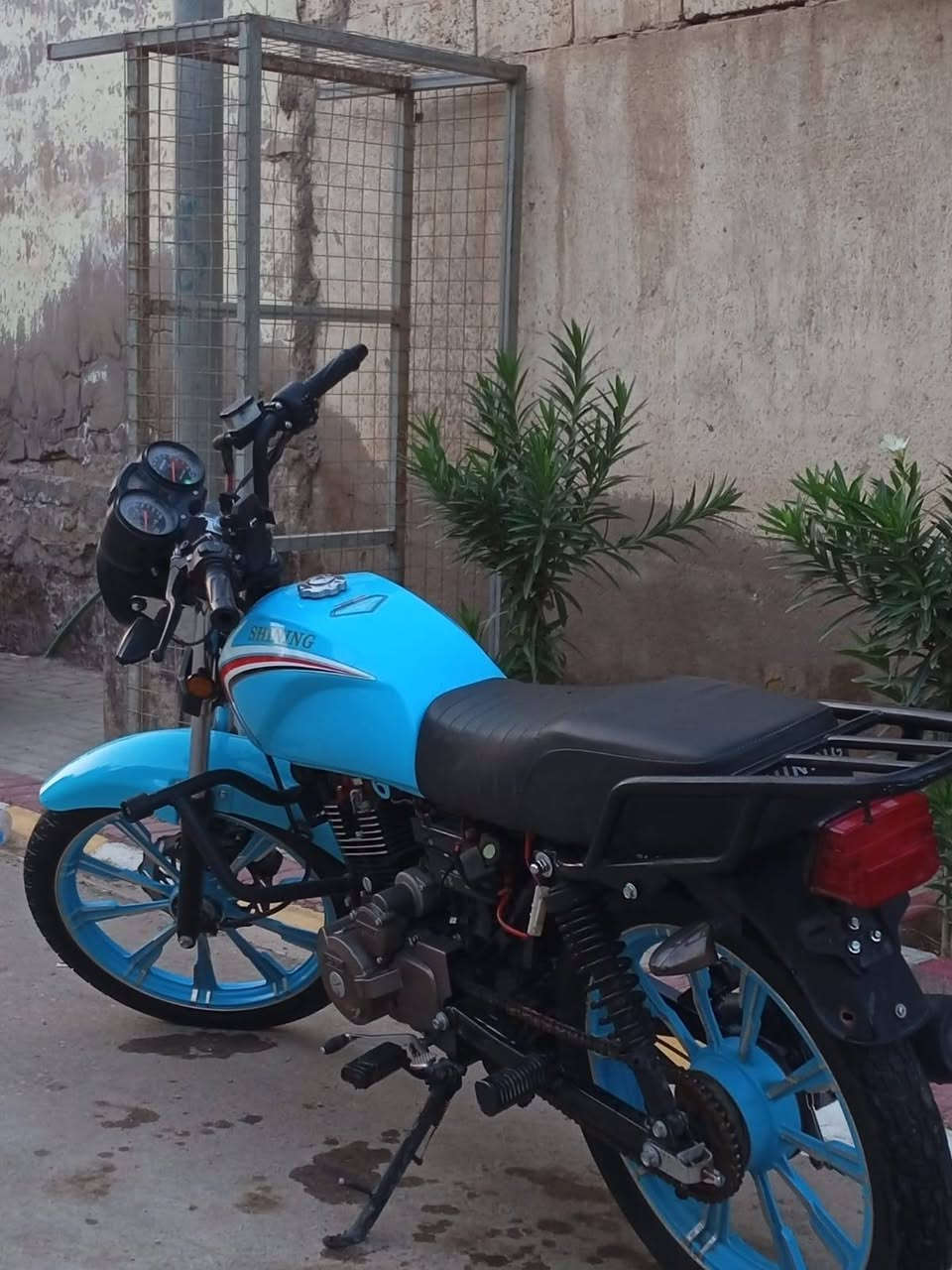 شاينك • ٢٠٢٣ • طالعة ٢٠٢٥