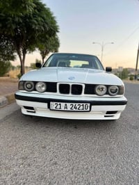 موديل ١٩٩١ • فتيس عادي • كوشن جلد