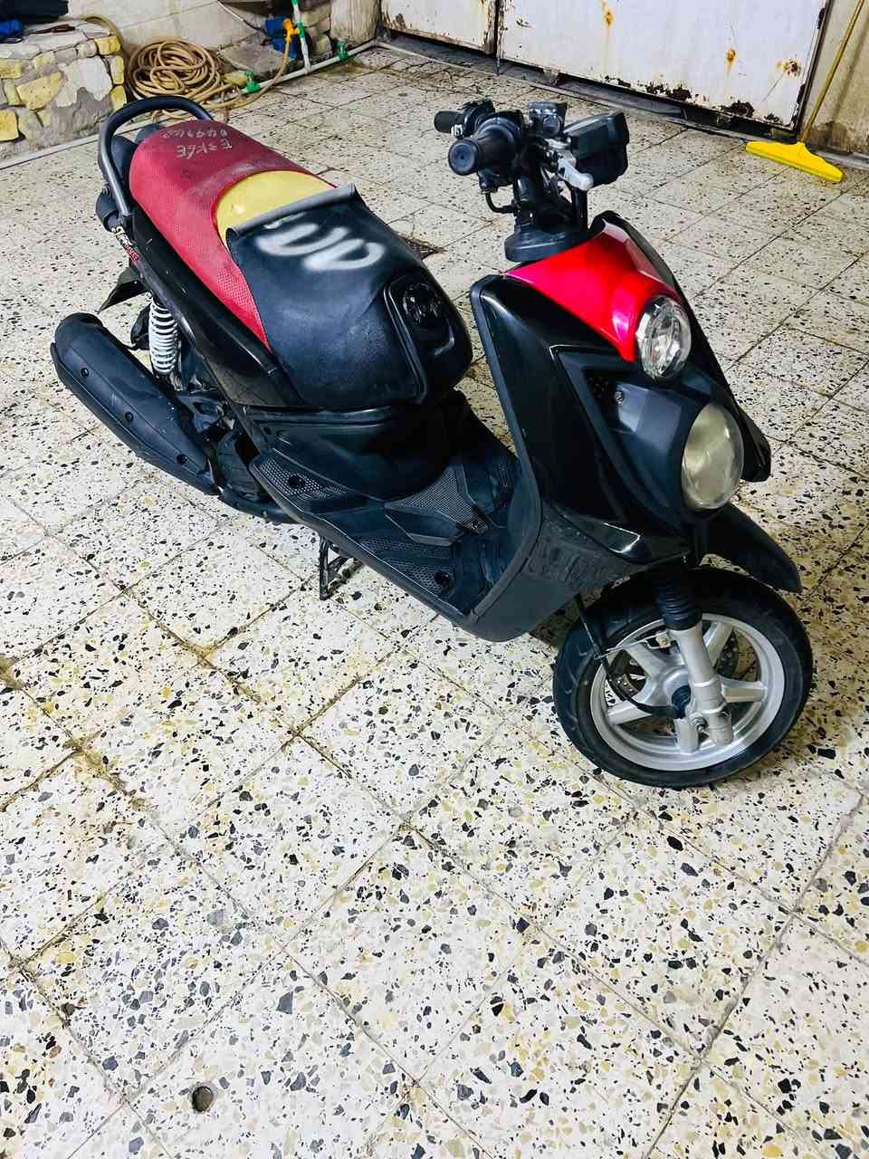 سكنس جبلي • كفاله عامه