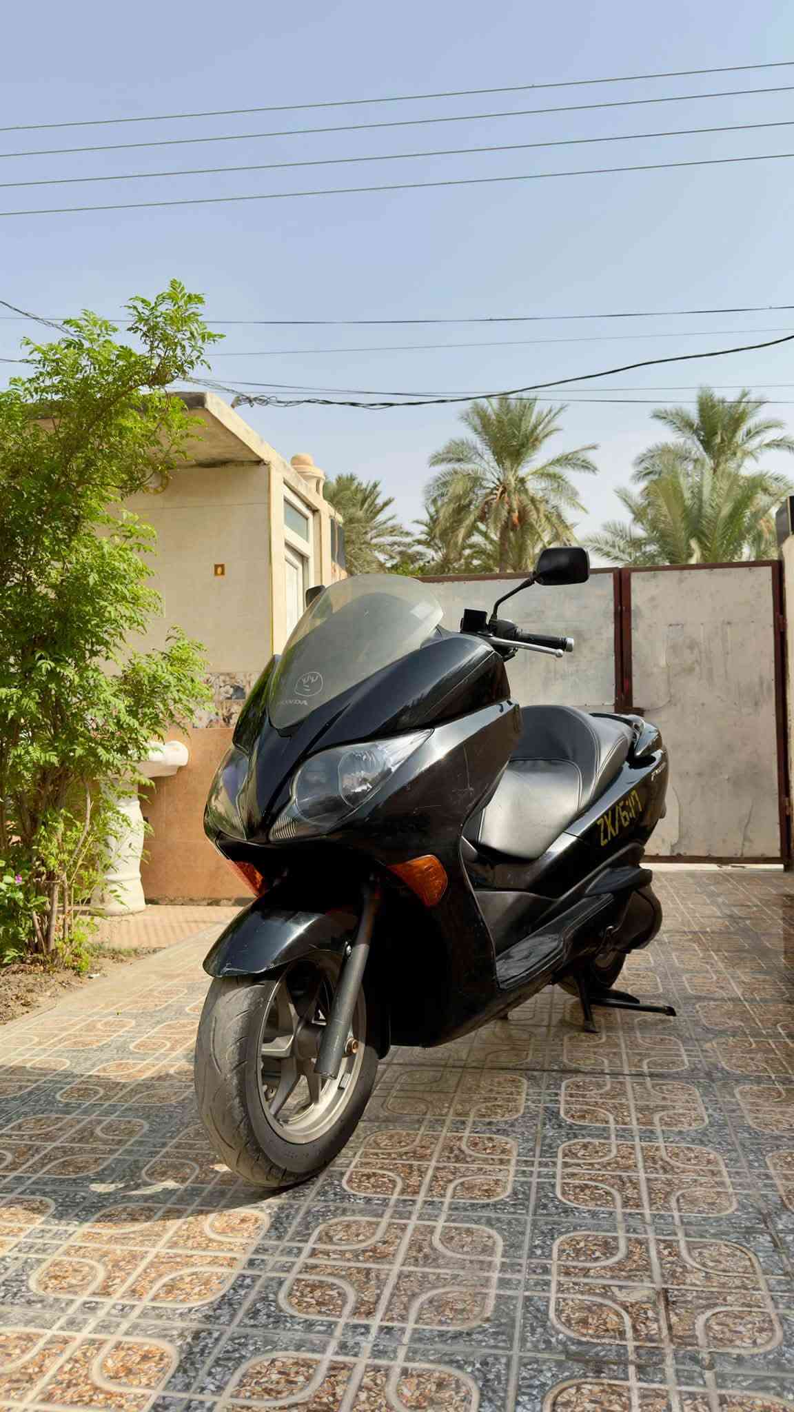 فورزه • ايبي اس • يد واحدة