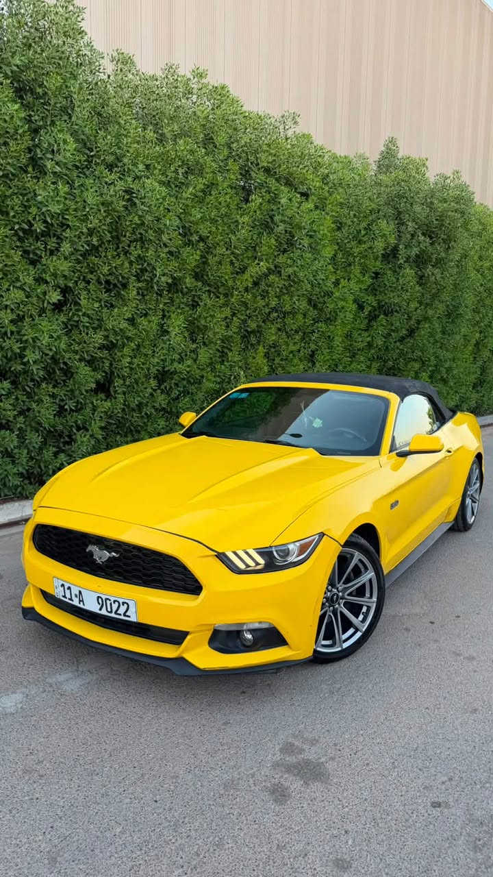�🔥 للبيع | FORD MUSTANG 2015 CONVERTIBLE 🔥🔥
🇺🇸 فورد موستنغ 2015 كشف
🏁 محرك 3.7 V6
⚙️ أوتوماتيك | دفع خلفي
🔓 كشف كهربائي
📍 الممشى: 103 ألف ميل تقريباً
🔢 رقم بغداد مميز ⭐

✨ شكل رياضي وفخم وحضور قوي بالشارع
🚘 السيارة جاهزة للفحص
🔍 الفحص مفتوح للمشتري
حادث السياره جاملغ خلفي فقط بقيه السياره كلها سليمه 
🅿️
💰 السعر: 145 🍋
📞 للتواصل: ***********

🔥 Mustang… مو مجرد سيارة، هذا إحساس. 🔥

للجادين فقط، والله يرزق الجميع 🌹
