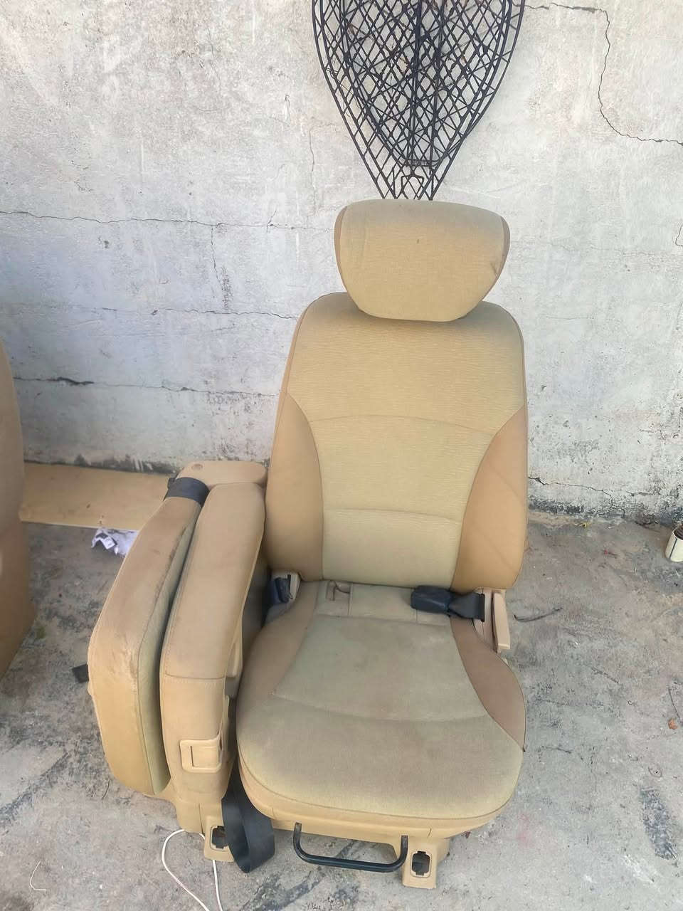 سلام عليكم كشنات  للبيع المكان كربلاء طويريج  الاتصال عل الرقم ***********
