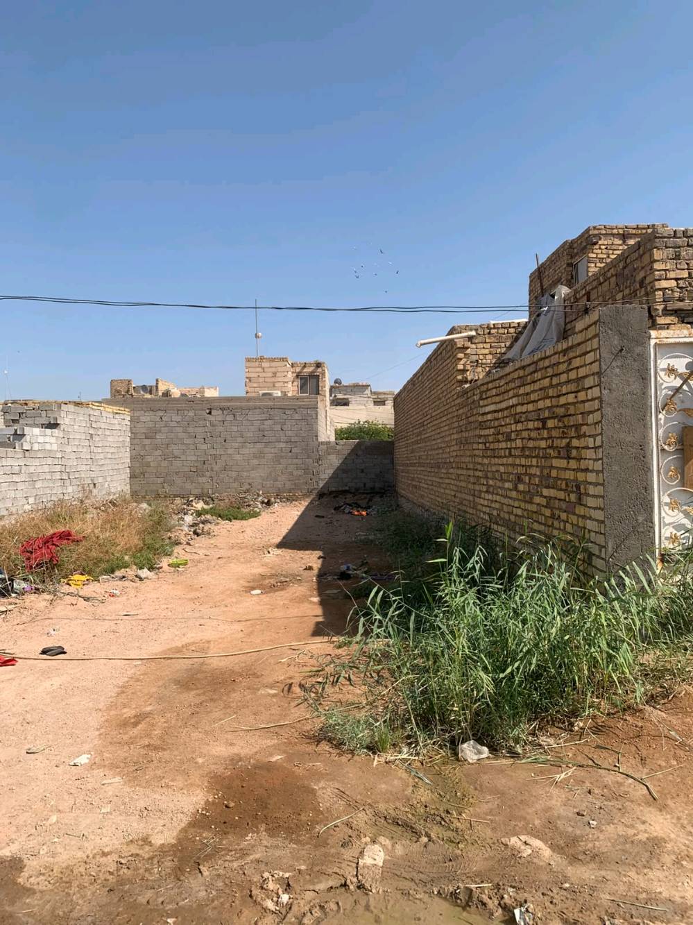 النجف • سند ٢٥ • ١٠٠م