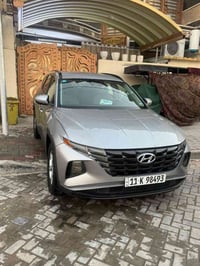 توسان • ٢٠٢٤ • وارد امريكي