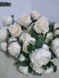 كوشات • شازلون • ذي قار