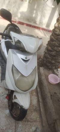 سكنس فحل • نوزل كهربا • شغاله