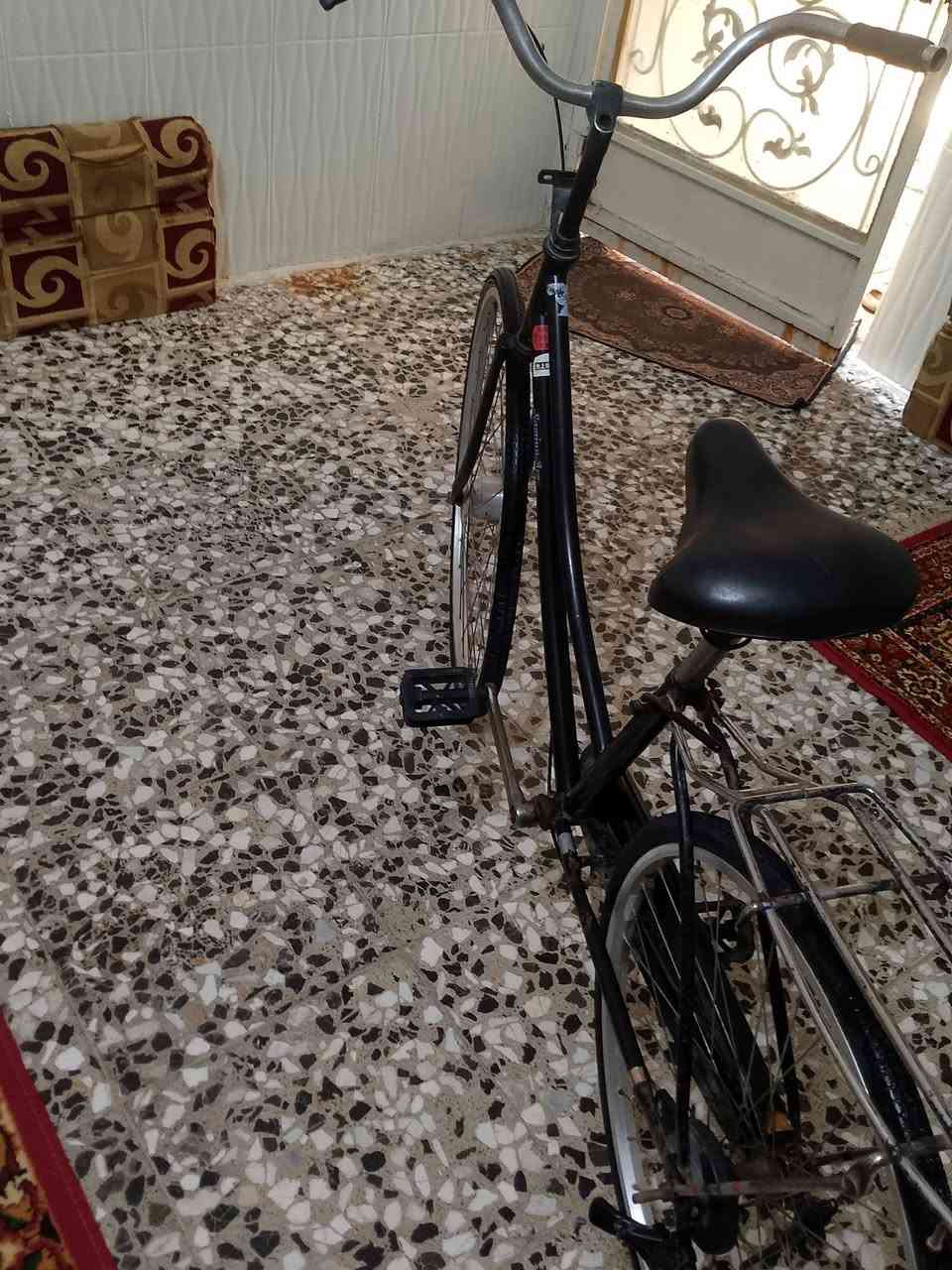 بسكليت • للبيع • واتساب