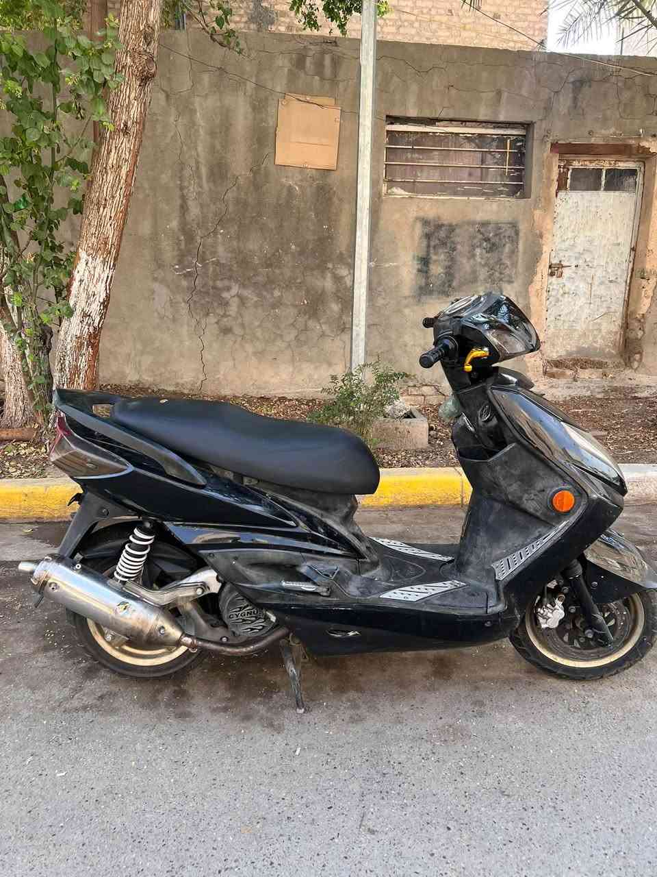 سكنس فحل • نكرة • سلف