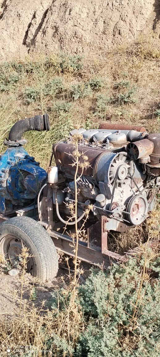 محرك • دويز شغال • مع الخنزيرة
