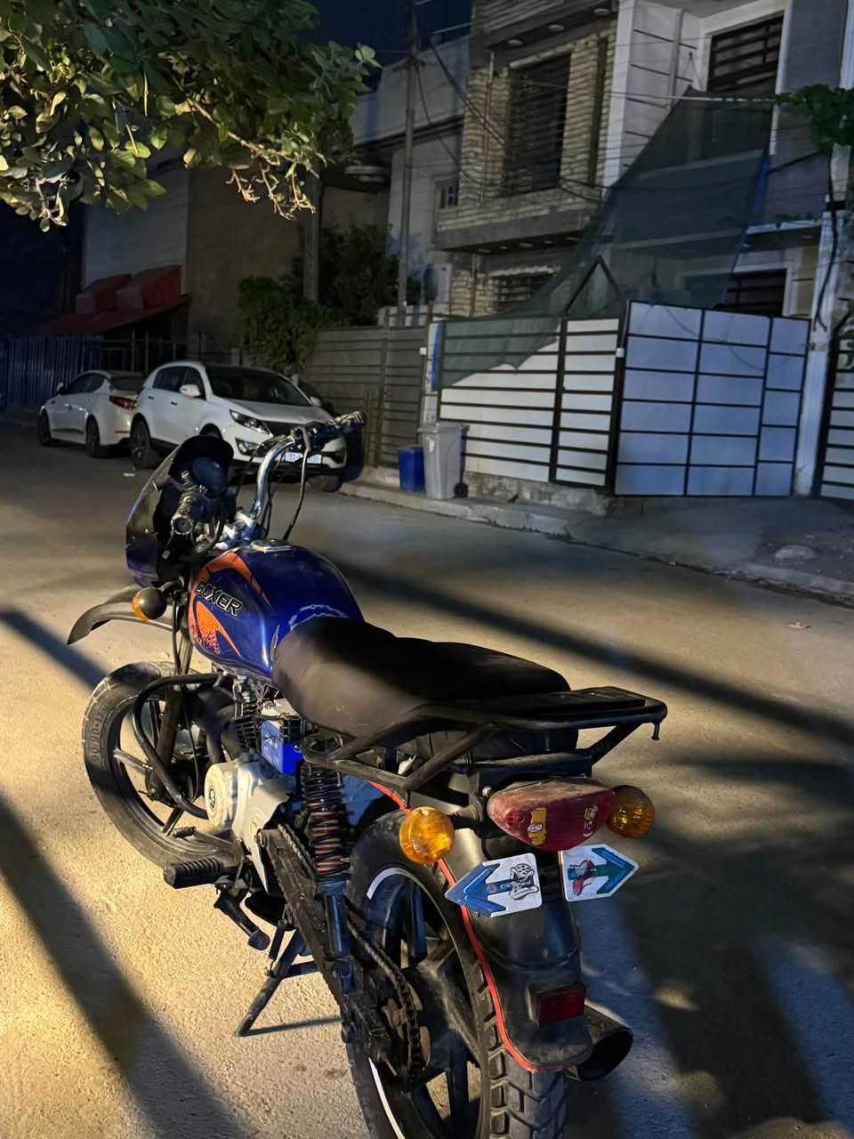 بوكسر جبلي • ٢٠٢٣ • نضيفة