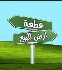كاطون الرازي • ١٠٠م • طابو