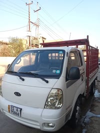 فحل للبيع 2010 كفاله عامه رقم بغداد انكليزي تحويل ثاني يوم عنوان بغداد...