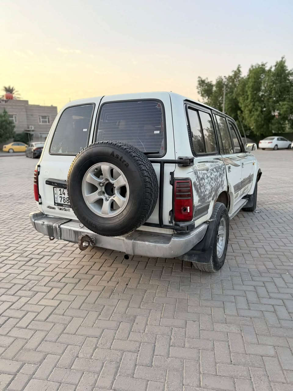 ليلا علوي • ١٩٩١ • محرك 3F