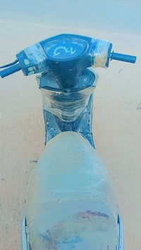 فراشة • بابل