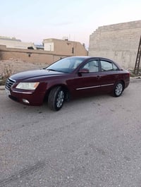 سونته • ٢٠٠٩ • قطعة صبغ