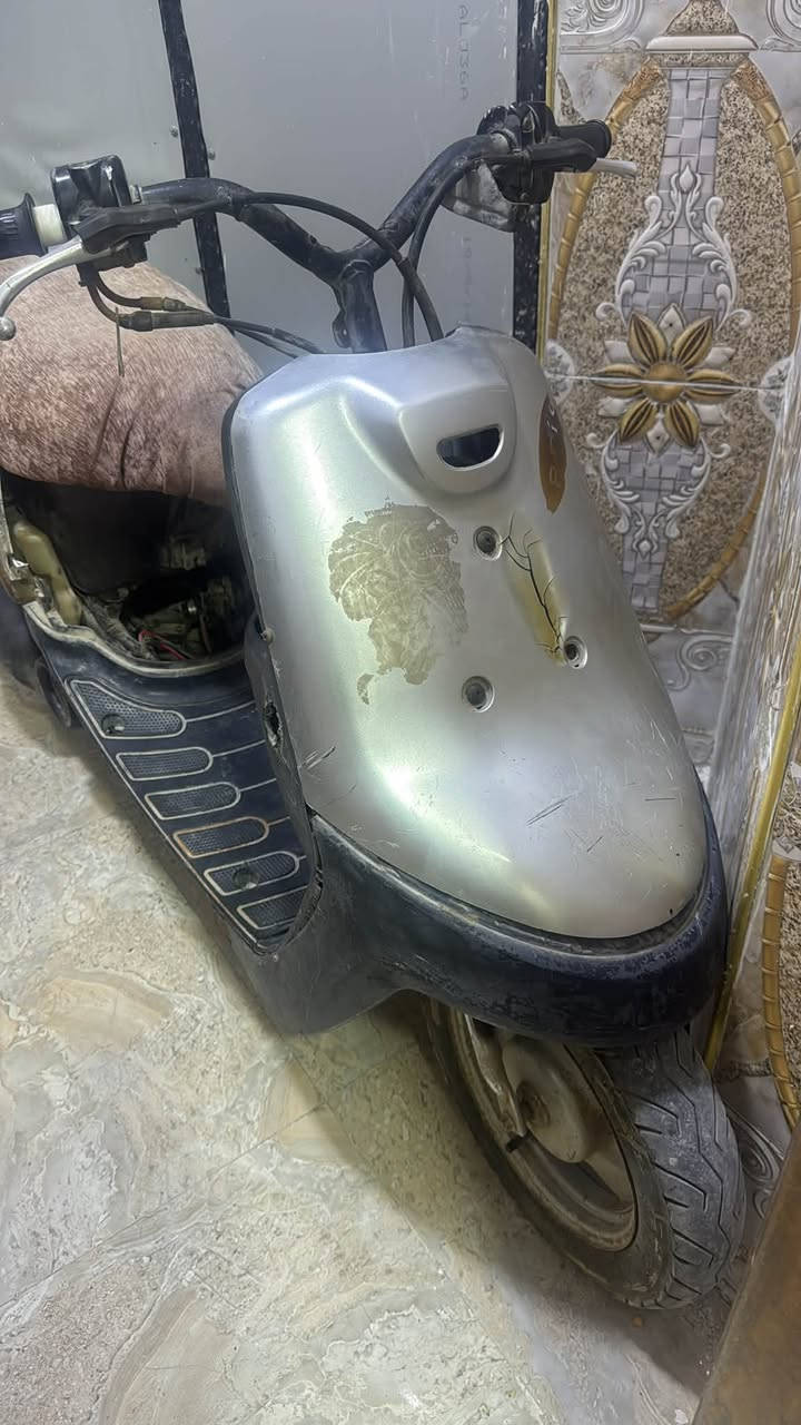بطه • طفت • فلتر جديد