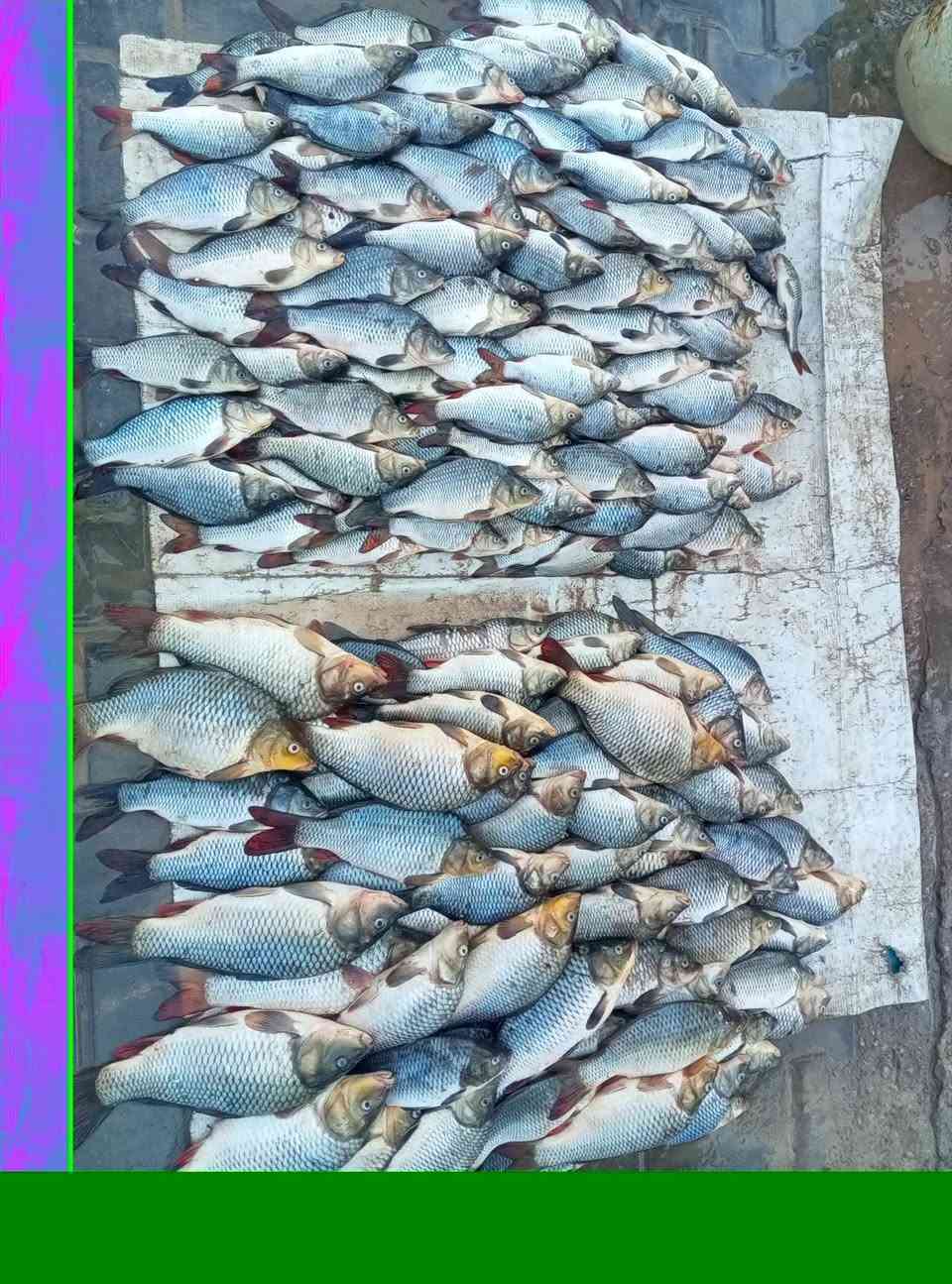 وسط 4ب10 • خشن 3ب10 • نضيف