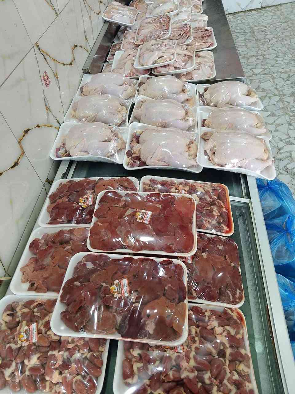 ذبح اليوم • دجاج تازة • مقطع حسب الطلب