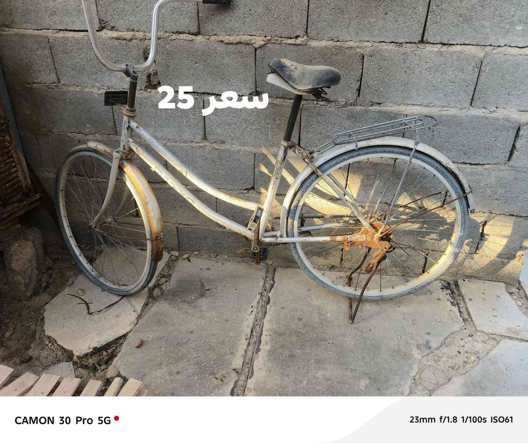 باسكل للبيع رقم ***********
