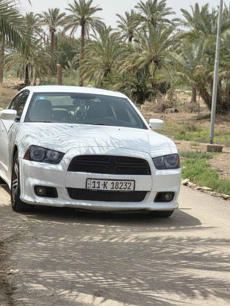 يالله سلام عليكم
دودج جارجر مديل 2013 خليجي
رقم بغدادجديد وسنويه جديده وهزه جديده تحويل ثاني يوم
(كفاله فقط  جاملغ امامي صبغ بدون ضربه )
مكينه 3600 
مكينه كير حداده كلها جاهزه مابيها اي نقص
تخم تاير ويل خليجي
كير طياره شاشه 
(مكان سياره سماوه وركاء)
(سعر 165 بيها مجال لشراي 
رقم هاتف ***********
