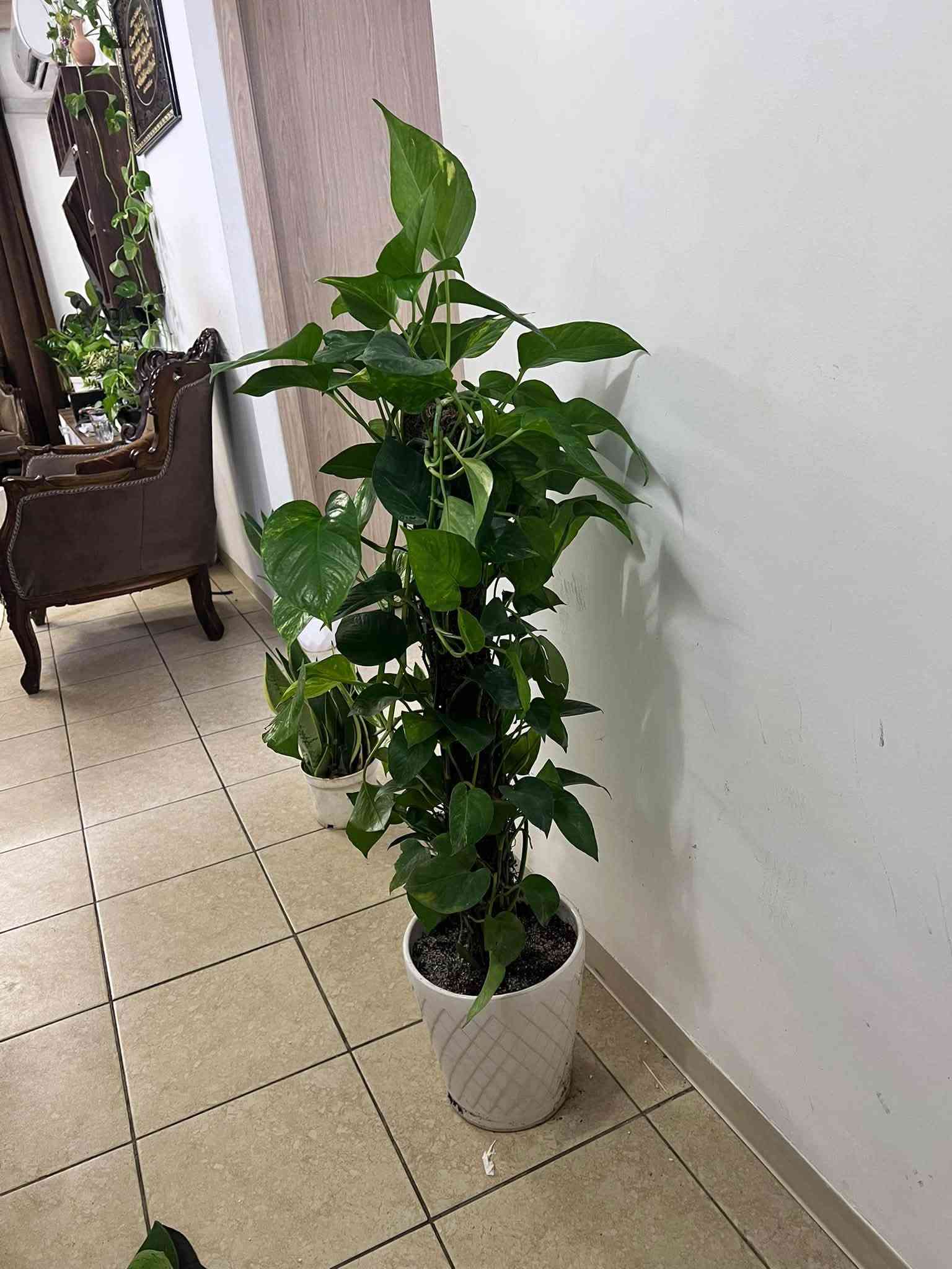 الاسعار خاص
