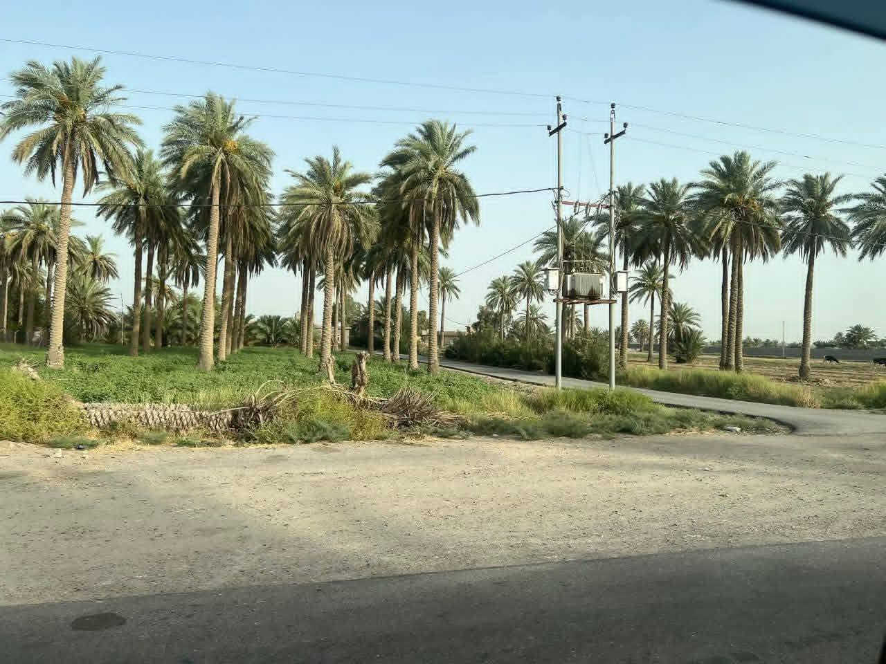 ٥ دوانم • طابو باسمك • العيساوية