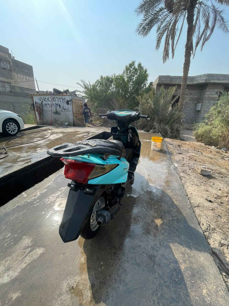 سكنس • ياباني • مفتوه