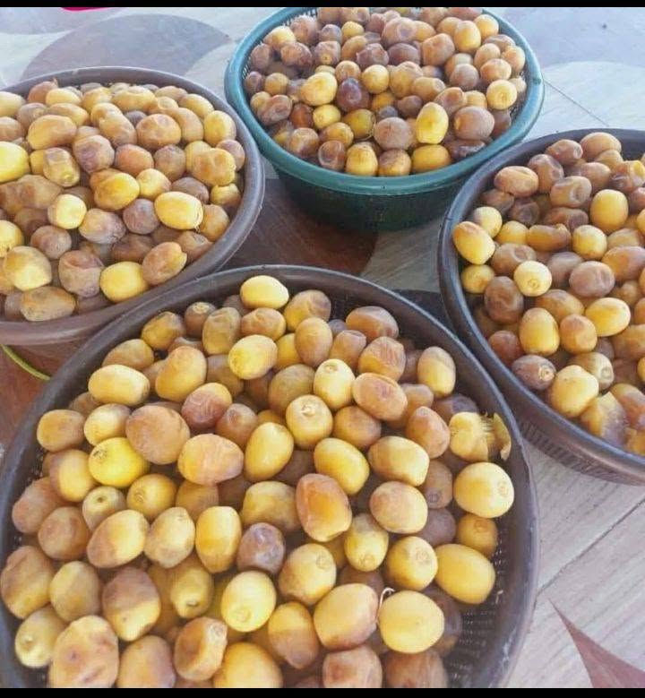 تمور • رطب برحي • توصيل بغداد
