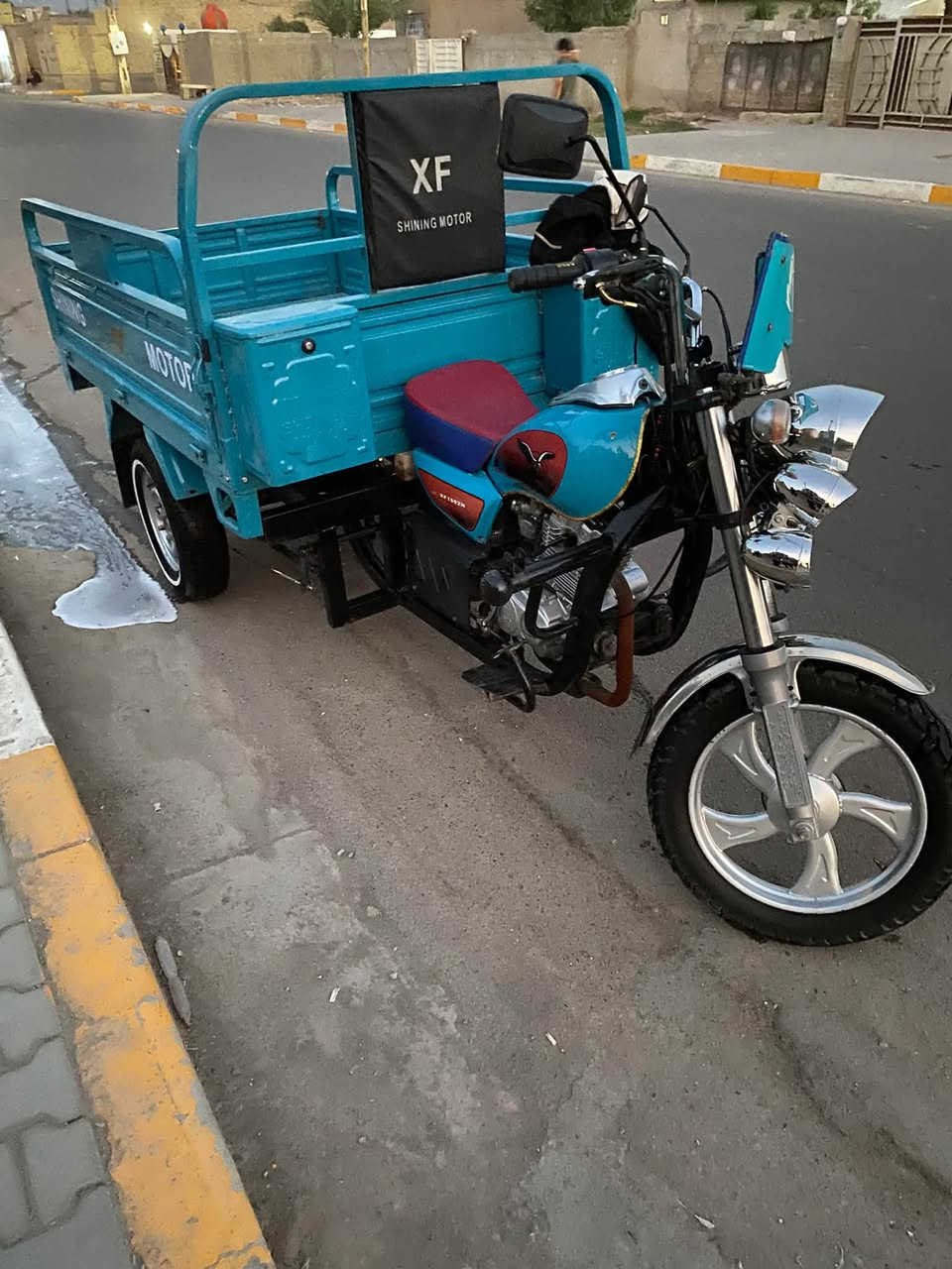 ستوت • مقفولة • أوراق أصلية