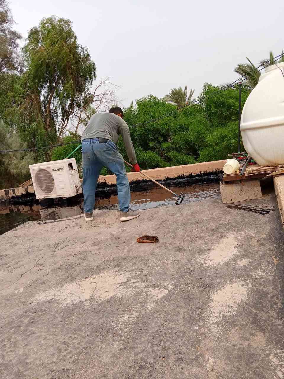 ماستك • زفت دهني • خلفه