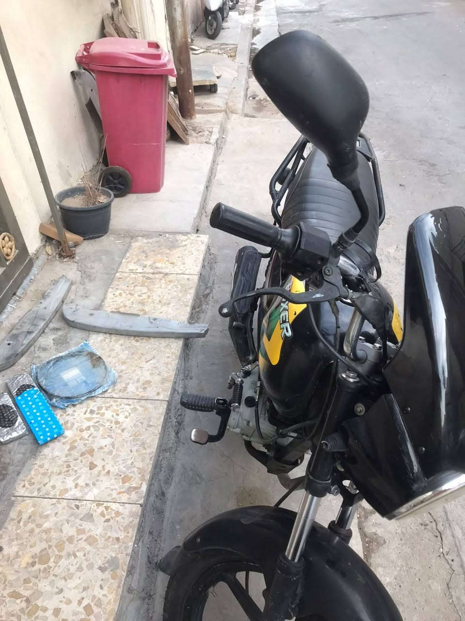 بوكسر • بدون أوراق • زنجايل شركه