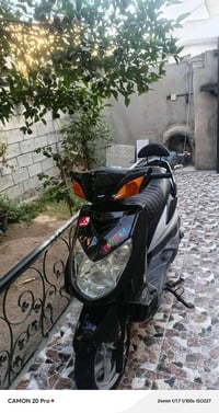 سكنس فحل • نامه • مرفوعه