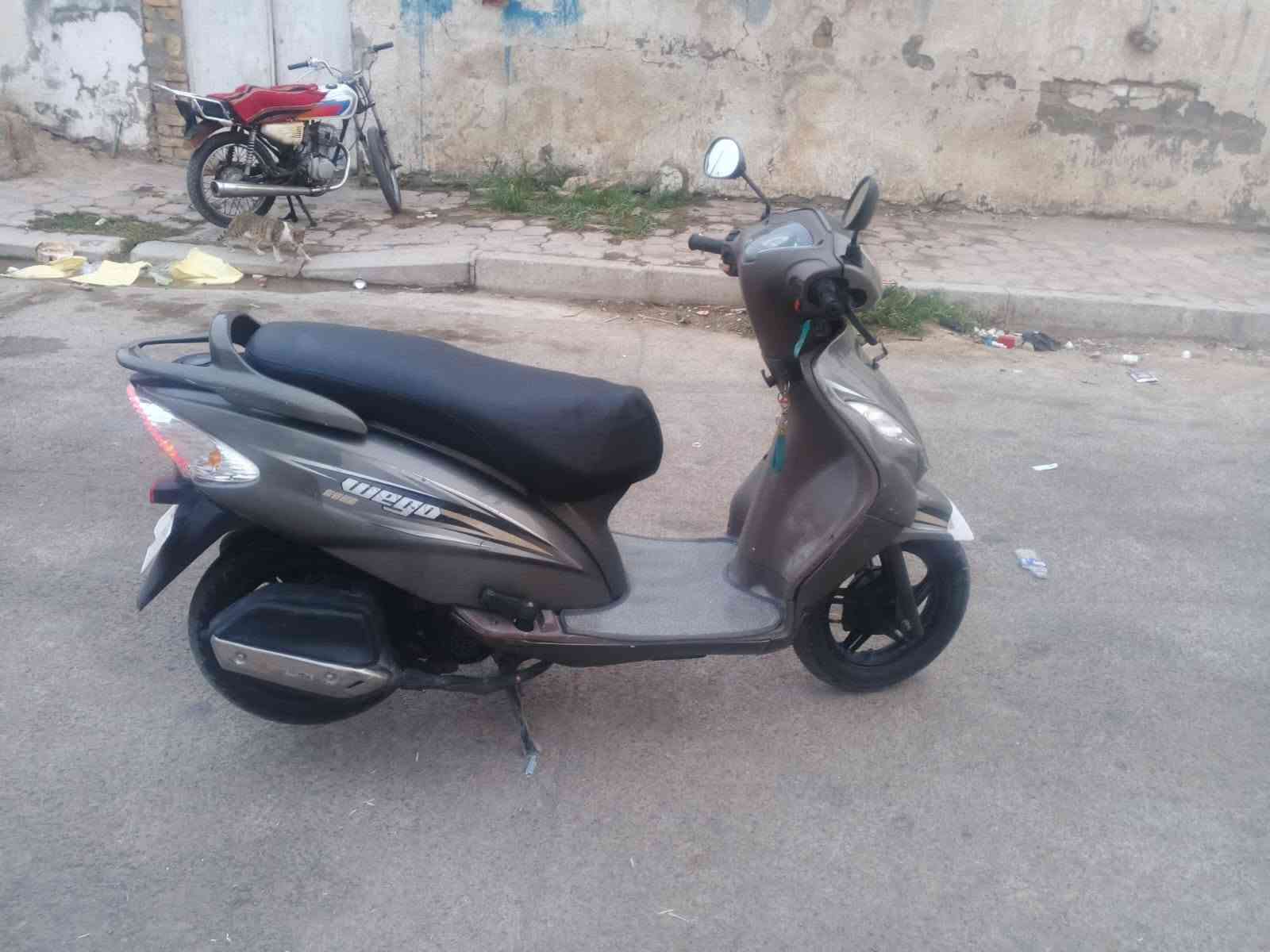 ويكو هندي • ٢٠٢١ • كفالة عامة