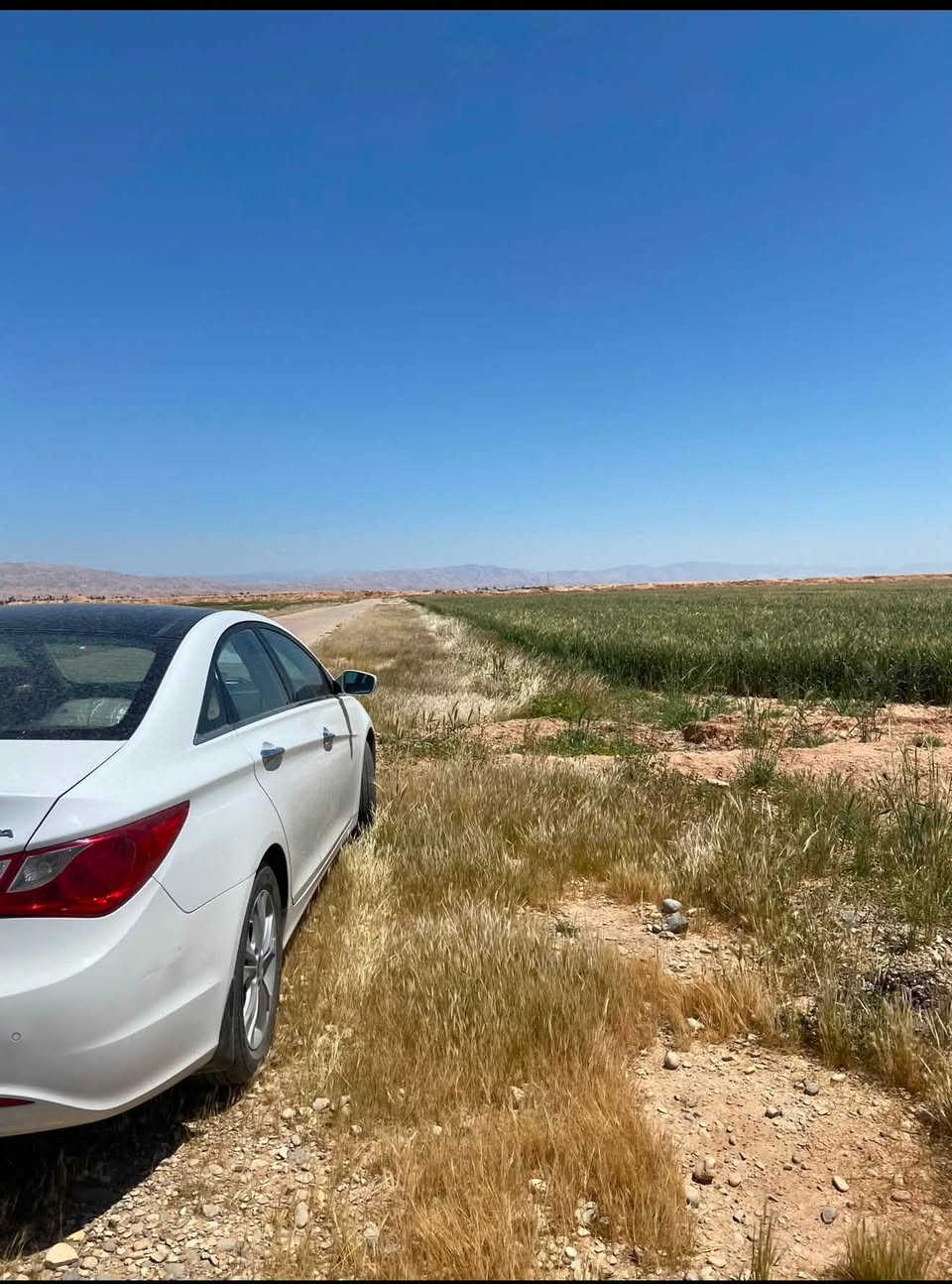 سلام عليكم 
للبيع فقط
سوناتا ٢٠١١ خليجي
قمارة سلايد روف بنورما 
كشنات ع وضع البلاد
مري اشاير +شفط
كير +مكينه كفاله عامه ع وضع الشركه
صدر جديد 
باتري جديد 
تخم تاير جديد
منظومة تبريد جديد ثلج
لايت زنون 
السيارة تباع شرط الفحص
فقط بيه قطتين صبغ جزء من الجاملغ وجزء من الباب خلف السائق اثر شخط دراجه
سونار موجود
السعر ١٢٠فقط
***********
