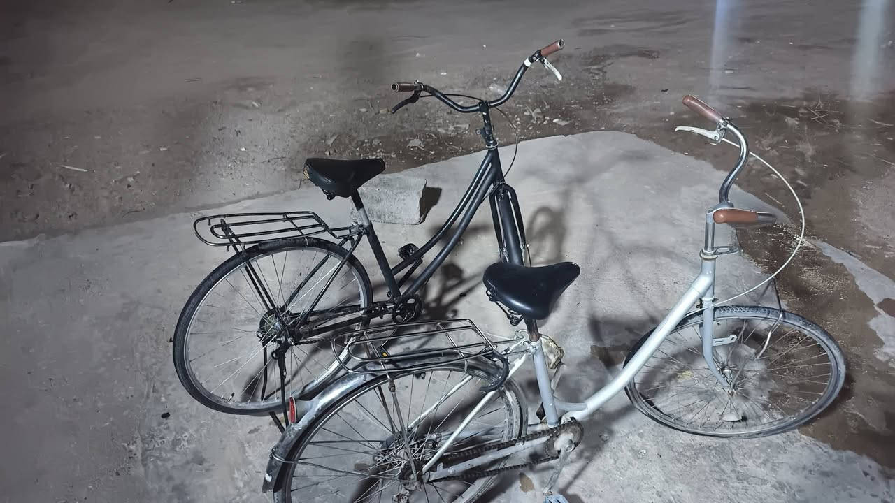 سلام عليكم من رخصت صاحب الكروب هذني الباسكلات للبيع يابانيات رايدهن ب90 وبيهن مجال ثنيناتهن والرصاصي تاير الكدام مبنجر عوزه بس جوب  كلشي ما بيهن وزينات  ما بيهن شي خير من الله والأسود وياه غراضه شبج ثنين جمبازي وهاذه حساب أبو الباسكلات مرتضى الحميداوي  واهذه رقمي وإني خادم ***********

