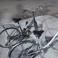 يابانيات • باسكلات • أسود