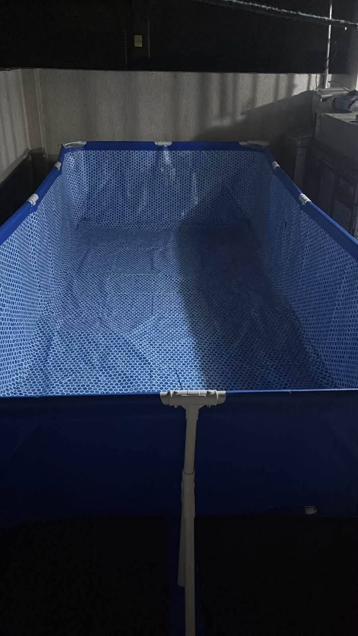 سلام عليكم.. مسبح من ماركة (intex) طول 4.50م . والعرض 2.20م . والارتفاع 84سم . اشتريتة ب200 الف قبل شهر استعمال مرتين قوي جدا ما ينزرف بسهوله ولا يحتاج الى نفخ. حط سعرك بما يرضي الله .. عنواني ديوانية وعدي توصيل كول محافظات
رقمي 
***********
سلام عليكم.. مسبح من ماركة (intex) طول 4.50م . والعرض 2.20م . والارتفاع 84سم . اشتريتة ب200 الف قبل شهر استعمال مرتين قوي جدا ما ينزرف بسهوله ولا يحتاج الى نفخ. حط سعرك بما يرضي الله .. عنواني ديوانية وعدي توصيل كول محافظات

نص مكتوب في الصور:
- 28273 مسابح intex العراق القياس 4.50 م × 2.20 م × 84 سم مناسب للعائلة والأطفال خامة قوية وسهل التركيب عرض لفترة محدودة! الأكثر طلباً في العراق هدايا مجانية نظارات سباحة كرة مائية سيت لزكات 200,000 دينار فقط للحجز والاستفسار *********** *********** بغداد - الصليخ مخازن الـ 600