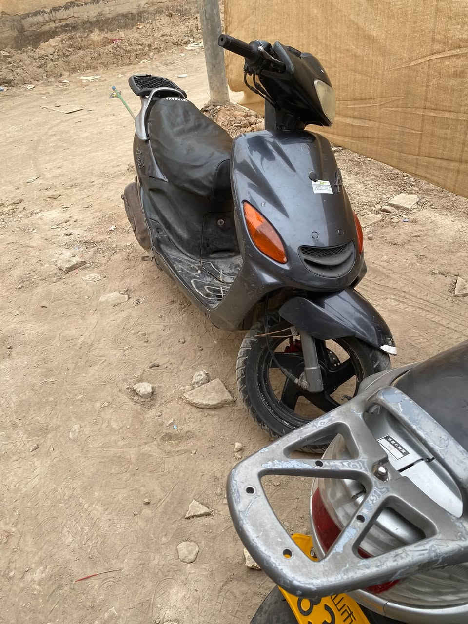 اكزز • فحل • كابريتر