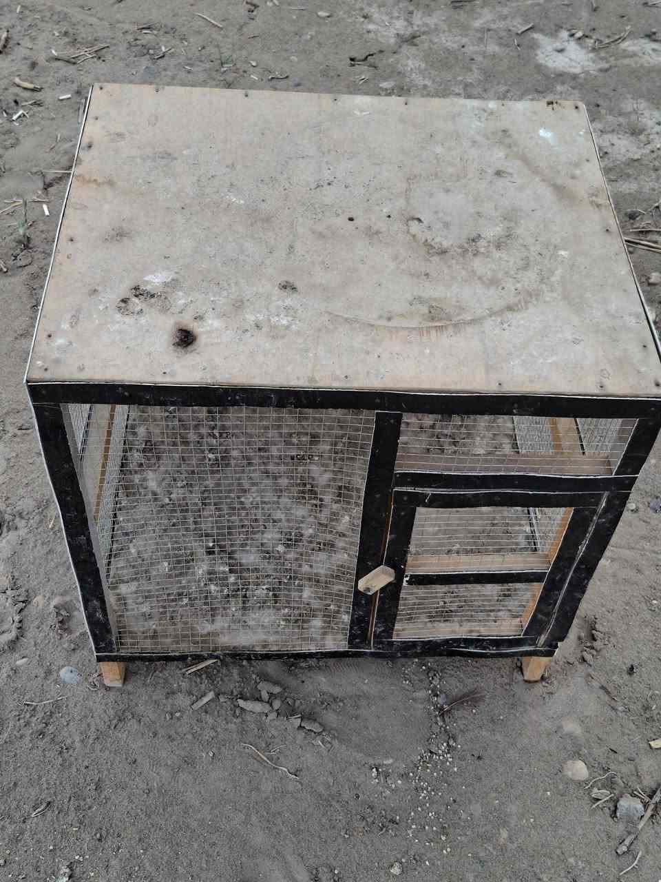 متاح للبيع
خانه افراخ مستعمله

سعره ١٥ الف

