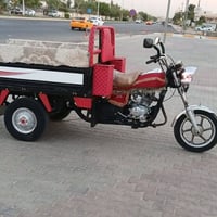 ستوته • شرط • ٢٠٢٠