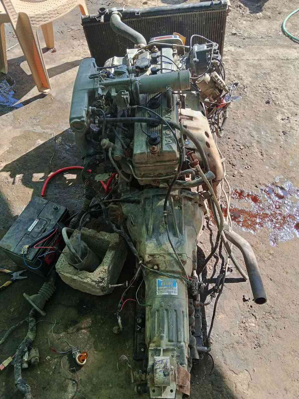 من رخصت لدمن عندي تحورة ونجي لبيع لاتنقيص ولا بخار مكينة مكفولة ضفيرة ولعقل كاملة ولكير بس لبك ميجي مكطعة وايرات يمكن ربك ماعرف بعد لبيع سعر 700وبيهة مجال مكاني بغداد ابو غريب ***********
