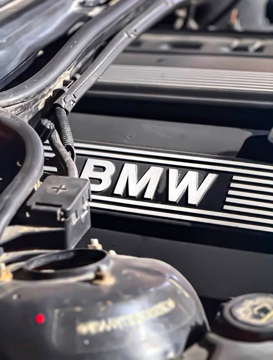 سلام عليكم من رخصة الادمن المحترم….
‎صلوا على الحبيب محمد 😍🖤..

‎من النوادر..🖤

BMW Category((325i)) Double Lantern 🚀.

‎بي أم دبليو 1998 حجم 325 السيارة مكفولة كفالة عاامة من الضربة ومن اي داخل صبغ فقط للجمالية بدووون داخل ولابارد!!!! السيارة بعدهي ع وضع الوكالة كلها بلادية وكل نقص مبيها من ناحية كير مكينة حدادية تبريد ثلج ❄️ تدفئة كلشي جاهز وشغال مواصفات فووول عدا الفتحه فقط....

‎مكينة 6 سلندر ((مسكر دبل فانوس)) 🚀.

‎تحكمات بلتسيرن.

‎كراسي تدفئة+تبريد.

‎كراسي كهرباء+خزن ميموري.

‎جنطة شفط.

‎نضام كنترول لايت تحكم بلكامل.

‎نضام ASC.

‎نضام APS.

‎قطعتين تبريد.

‎سستم صوت متكامل.

‎دبل ايرباك.

‎وبعد بيهاا مواصفات السيارة ماشية (233 الف) فقط وكل عددها وملحقاتها موجوده كلشي ع وضع وكالة بل اضافة عليها طبقة حماية ((نانو سيراميك)) مع الضمان رقم كربلاء دولي تتحول بكافة محافظات العراق سنوية لغاية ((2028)) السعرررر ((78)) وبيهاااا مجااال....😍🖤

‎للأستفسار:***********
