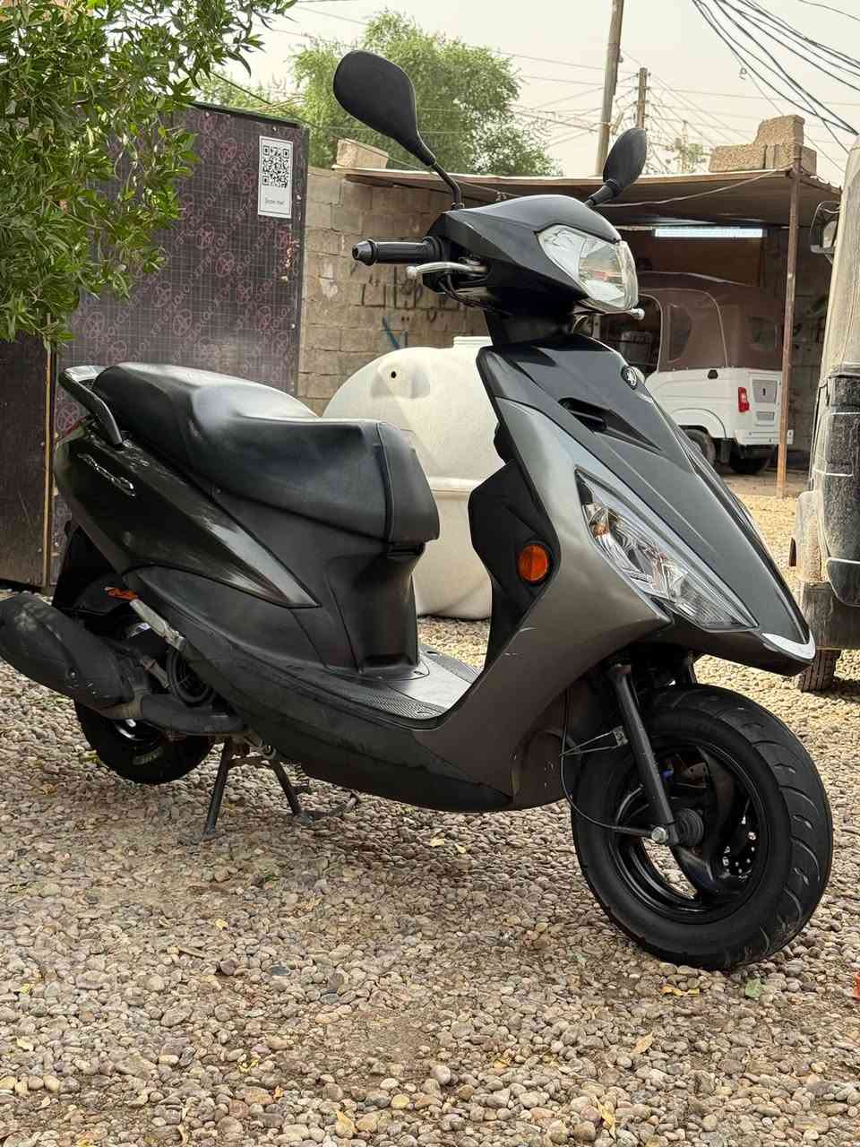 اكزز • يابانيه • محموديه