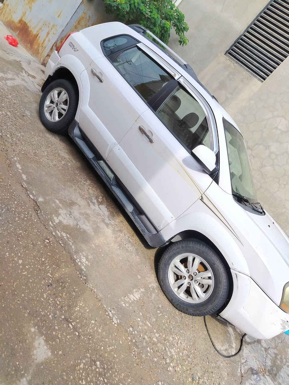توسان • ٢٠٠٩ • رقم بابل