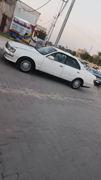 استعمال واحد • دواخل تخبل • تبريد ثلج