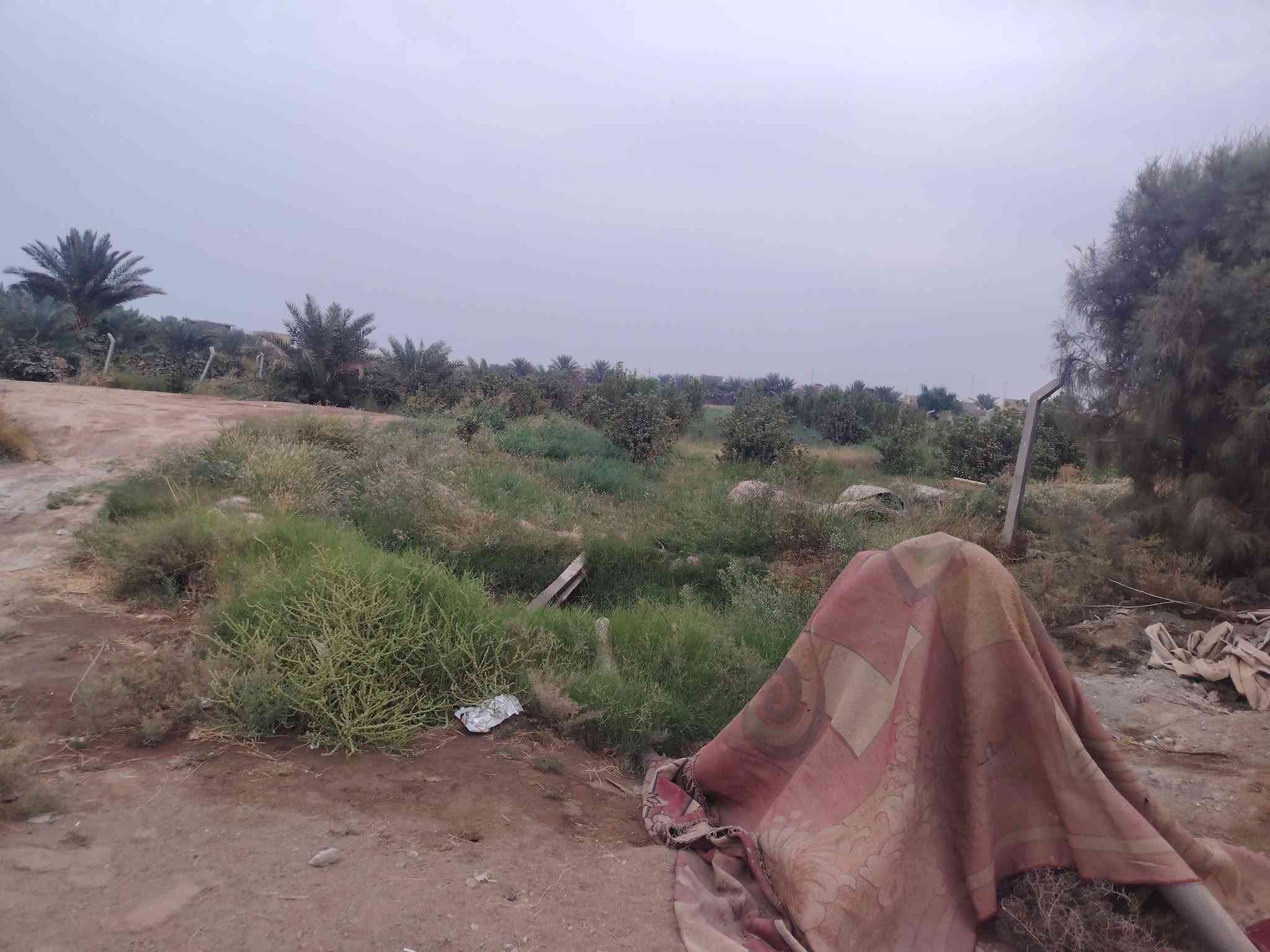 بستان • ٦دوانم • شط الصب